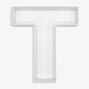 Charcuterie Letters Fillable - T (Rental)