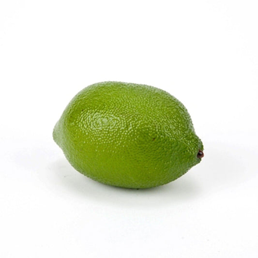 Fake Limes - Rental