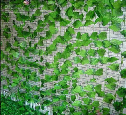 Vines Backdrop - (Rental)
