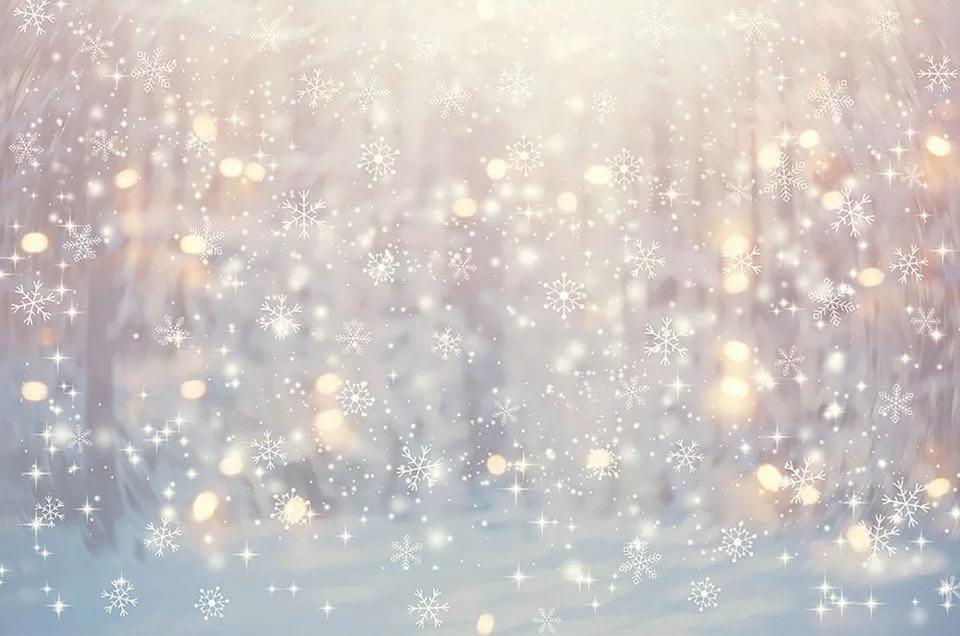 Winter Wonderland Backdrop (Rental)