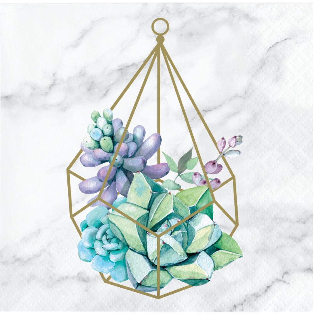 geometric succulent art Geometric Succulents Beverage Napkins
