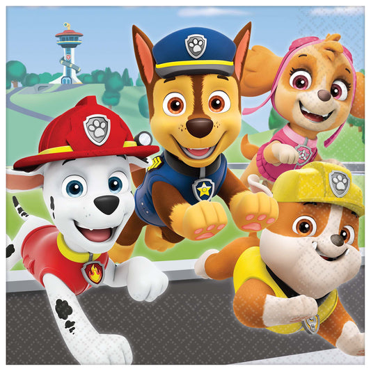 Paw Patrol™ Adventures Lunch Napkins (16)