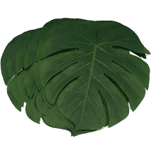 Palm Leaf Place Settings - (Rental)